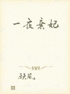 一夜弃妃