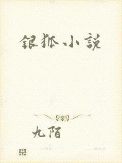 银狐小说