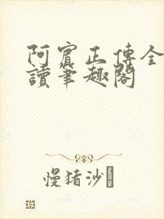 阿宾正传全文阅读笔趣阁