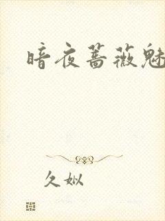 暗夜蔷薇魅