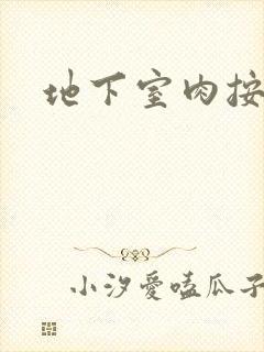 地下室肉按摩椅