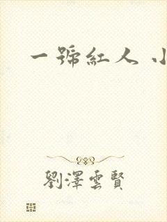 一号红人 小说
