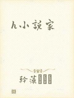 h小说家