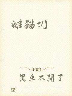 雌猫们