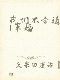 我们不合适1v1军婚