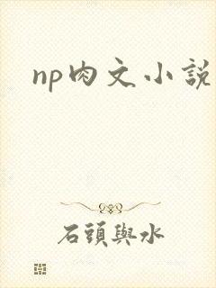 np肉文小说