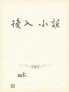 后入 小说