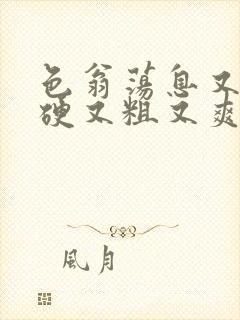 色翁荡息又大又硬又粗又爽小莹