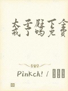 太子殿下今天破戒了吗免费阅读