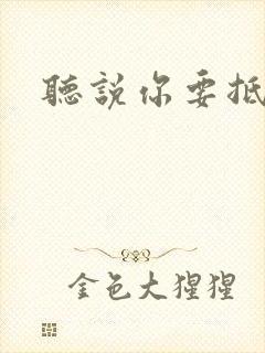 听说你要抵抗我