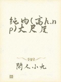 纯肉(高h.np)大尺度