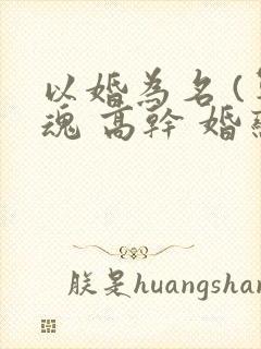 以婚为名 (军魂 高干 婚恋)