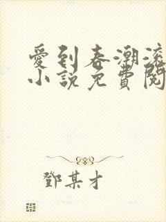 爱到春潮滚滚来小说免费阅读