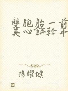 双胞胎一前一后夹心饼干年下