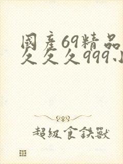 国产69精品久久久久999小说