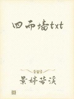 四面墙txt