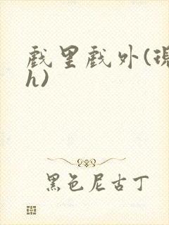 戏里戏外(现场h)