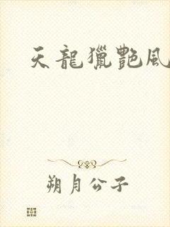 天龙猎艳风流