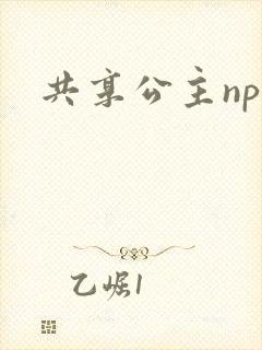共享公主npc