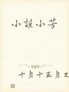 小说小芳