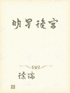 明星后宫