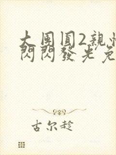 大团圆2亲情会闪闪发光免费