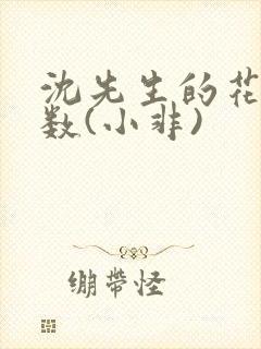 沈先生的花式调数(小非)