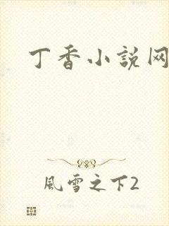 丁香小说网