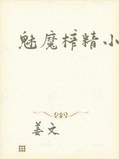 魅魔榨精小说
