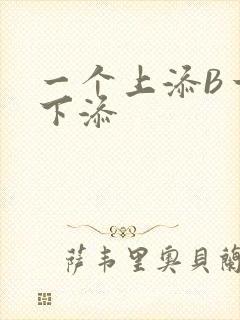 一个上添B一个下添