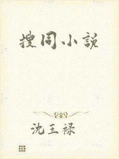 搜同小说