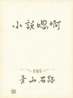 小说嗯啊