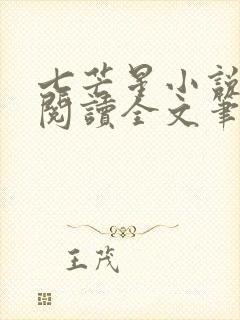 七芒星小说免费阅读全文笔趣阁