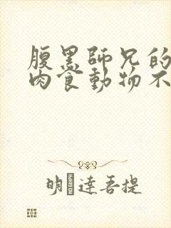 腹黑师兄的日常肉食动物不食草