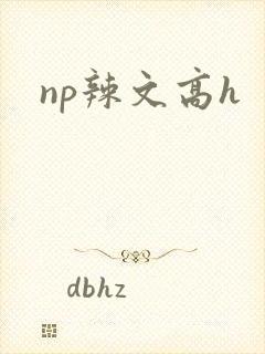 np辣文高h