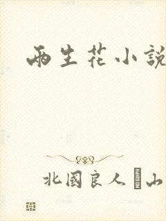 两生花小说