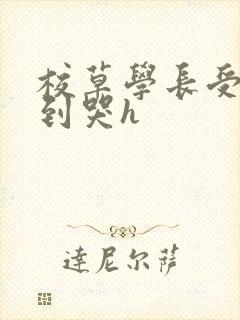 校草学长受被做到哭h