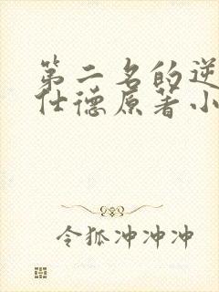 第二名的逆袭高仕德原著小说