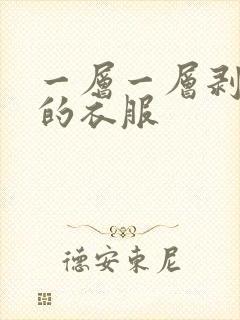 一层一层剥开我的衣服