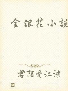 金银花小说乐可