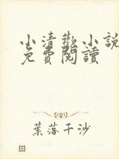 小清欢小说全文免费阅读