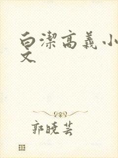 白洁高义小说全文