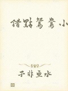错点鸳鸯小说