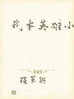 我本英雄小说