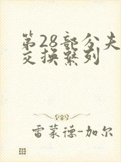 第28部分夫妇交换系列