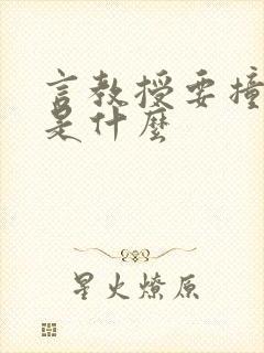 言教授要撞坏了是什么