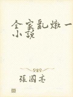 全家乱炖一锅烩小说