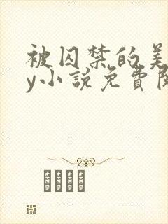 被囚禁的美人by小说免费阅读