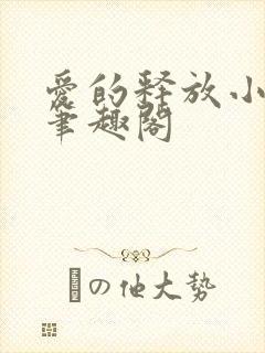 爱的释放小说 笔趣阁