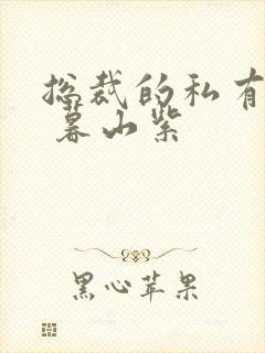 总裁的私有宝贝 暮山紫